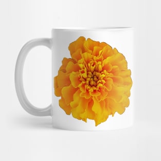 Orange Marigold Nature Floral Photo Mug